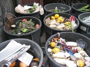 foodwaste