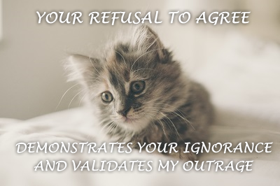 sjw-kitten